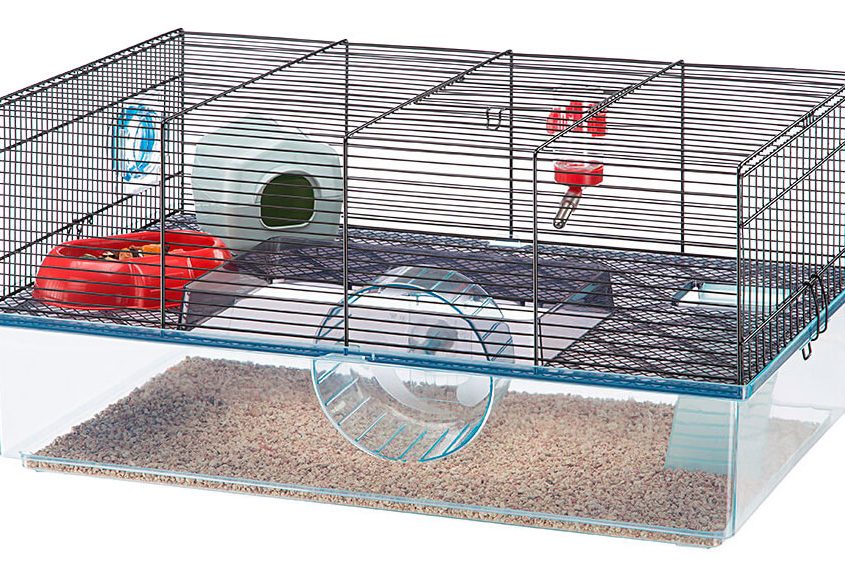 Hamster Kafesi Nasıl Olmalıdır?